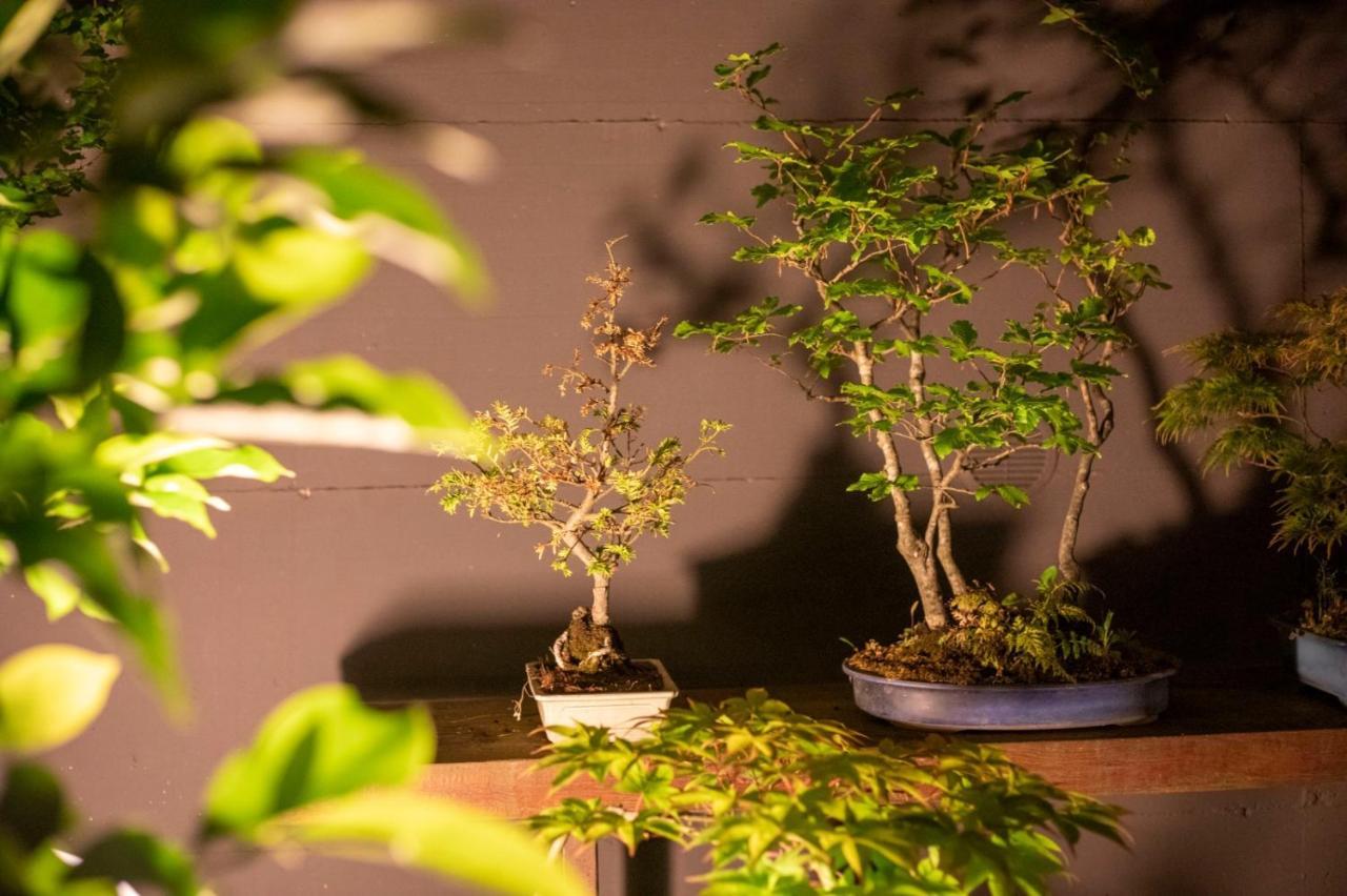 CarbognanoIl Giardino Segretoアパートメント エクステリア 写真