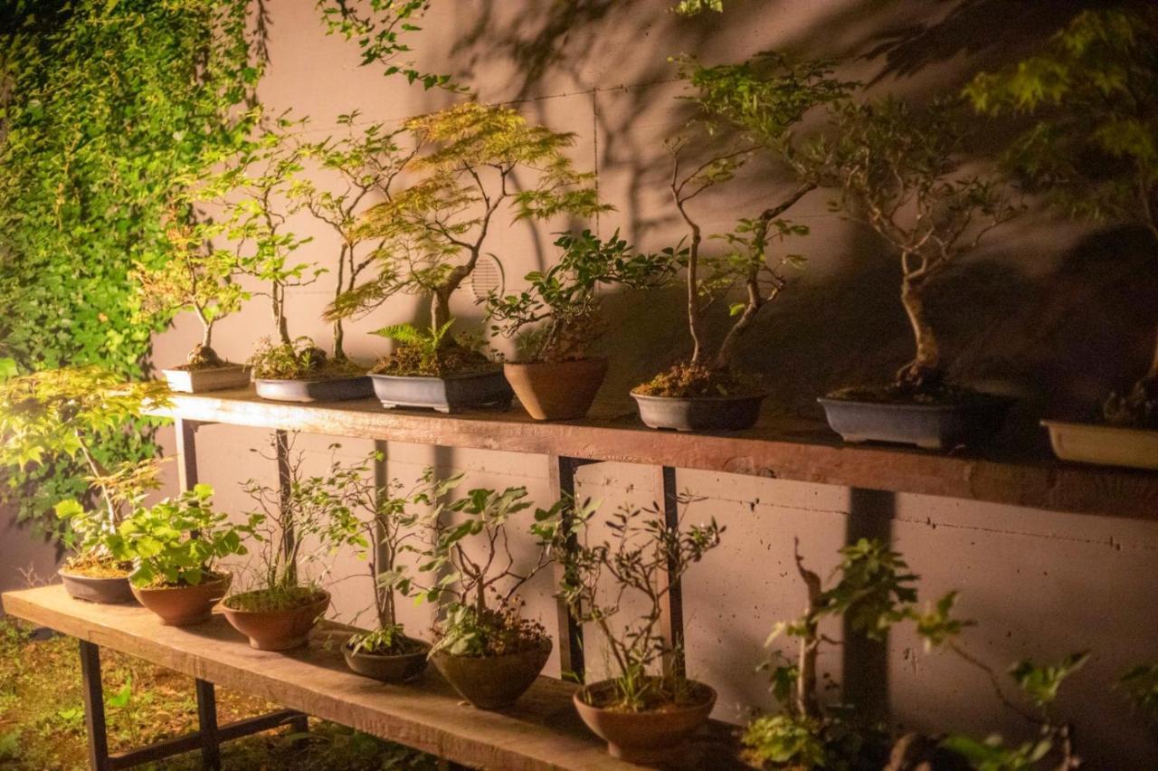 CarbognanoIl Giardino Segretoアパートメント エクステリア 写真