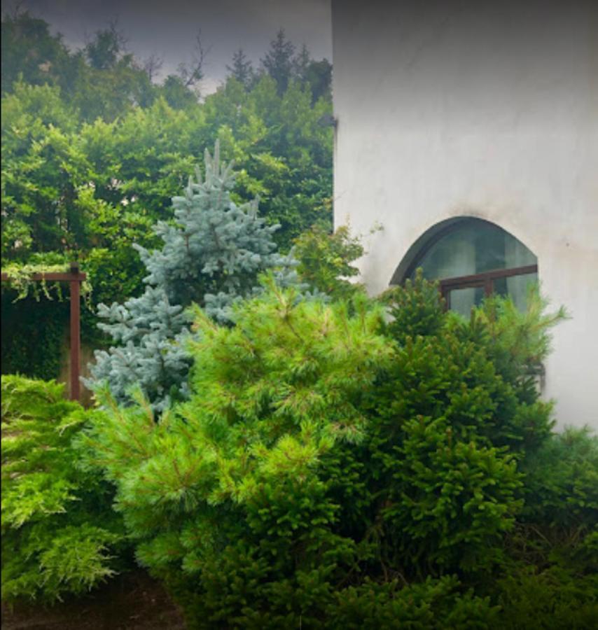 CarbognanoIl Giardino Segretoアパートメント エクステリア 写真